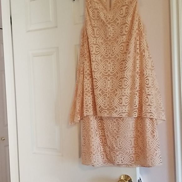 Dress - Picture 4 of 7